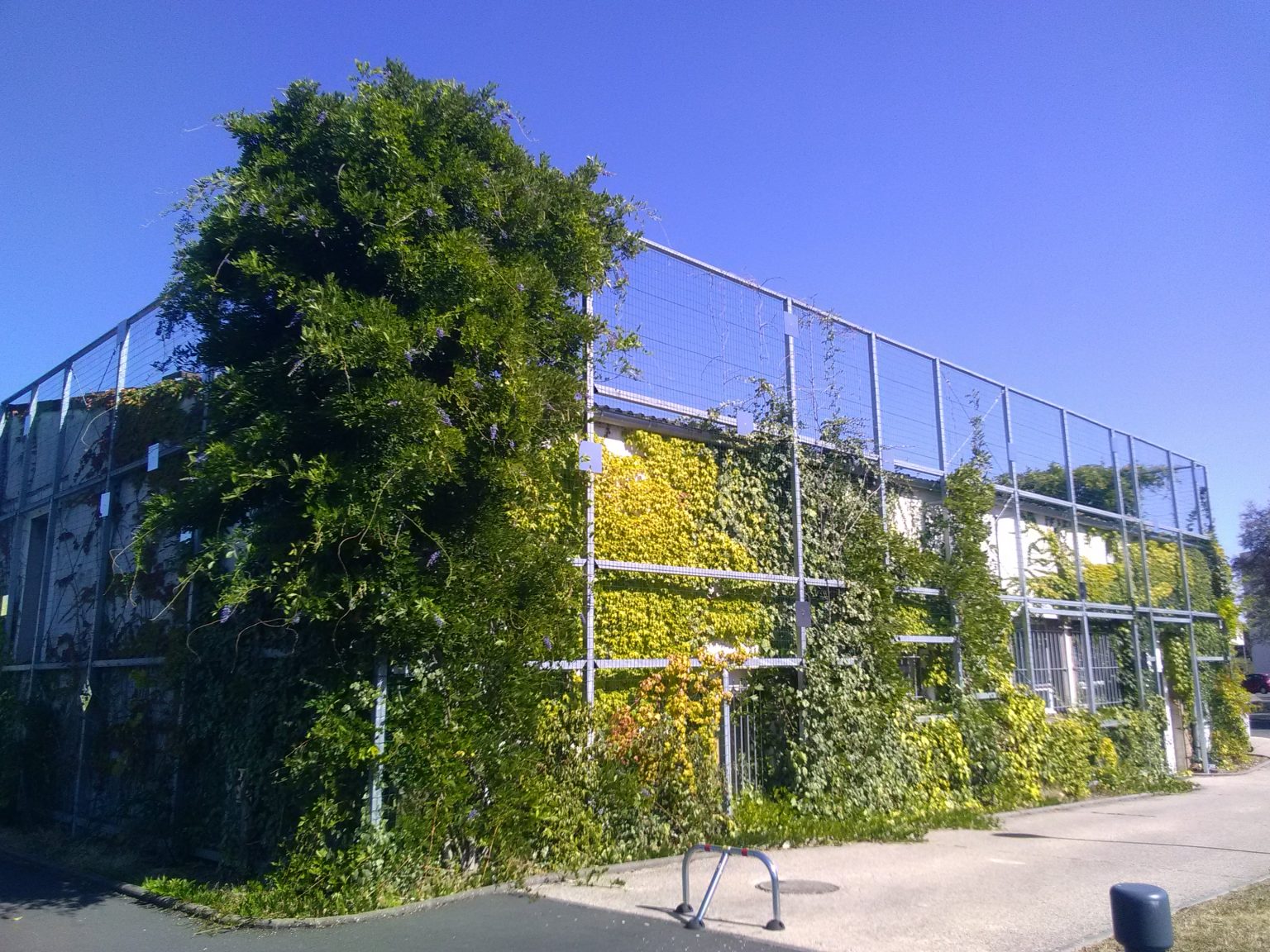 habillage végétal d'un bâtiment et création d'un parking paysager